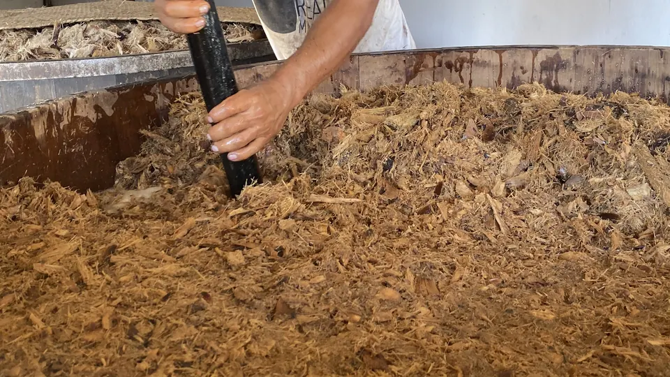 Agave molido fermentando en una tina de madera mientras el maestro mezcalero lo remueve